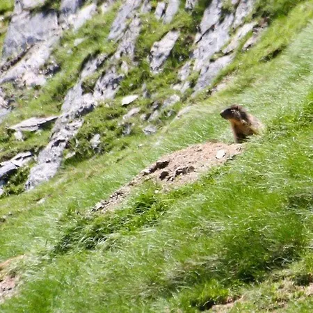 Cosy Pour 4 Personnes Avec Ascenseur, A 350m Des Pistes Au Centre De - Fr-1-401-25 *