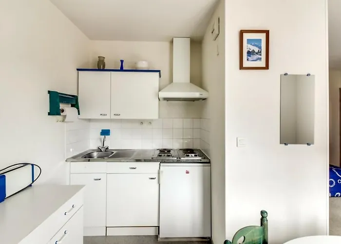 Cosy Pour 4 Personnes Avec Ascenseur, A 350m Des Pistes Au Centre De - Fr-1-401-25 Appartement *